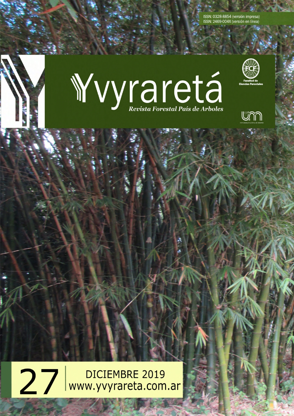 Mata de Guadua, ubicada en el km 1 de Eldorado, Misiones Argentina.