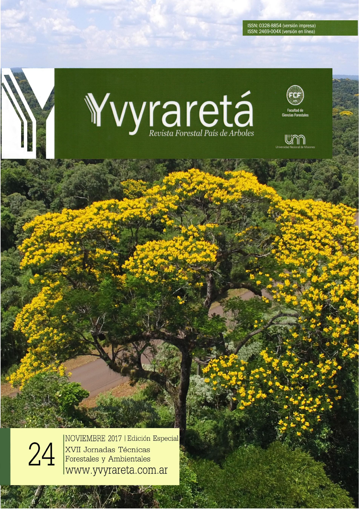 Caña fistula (Peltophorum dubium) en Parque Provincial Urugua-i sobre RP 19