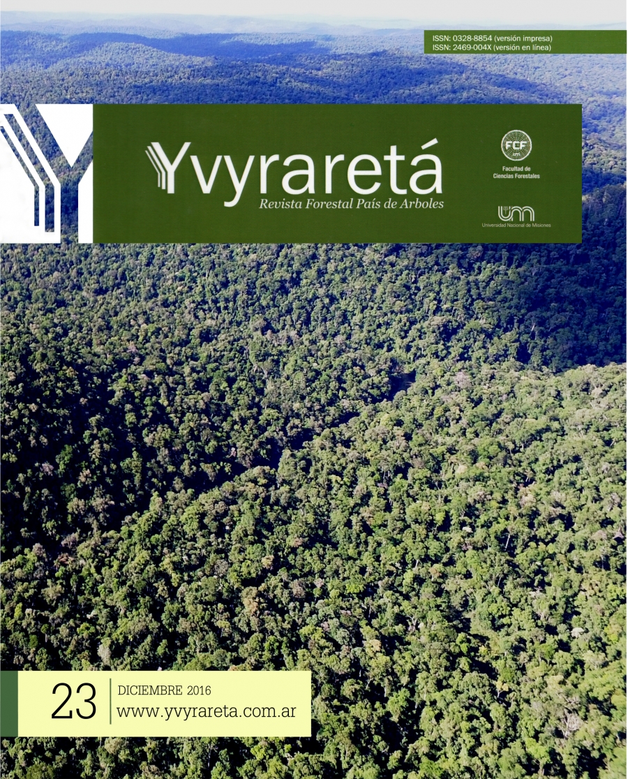 Selva Misionera en la intersección de la RP 16 y el arroyo Piray Guazú, Puerto Piray, Misiones.