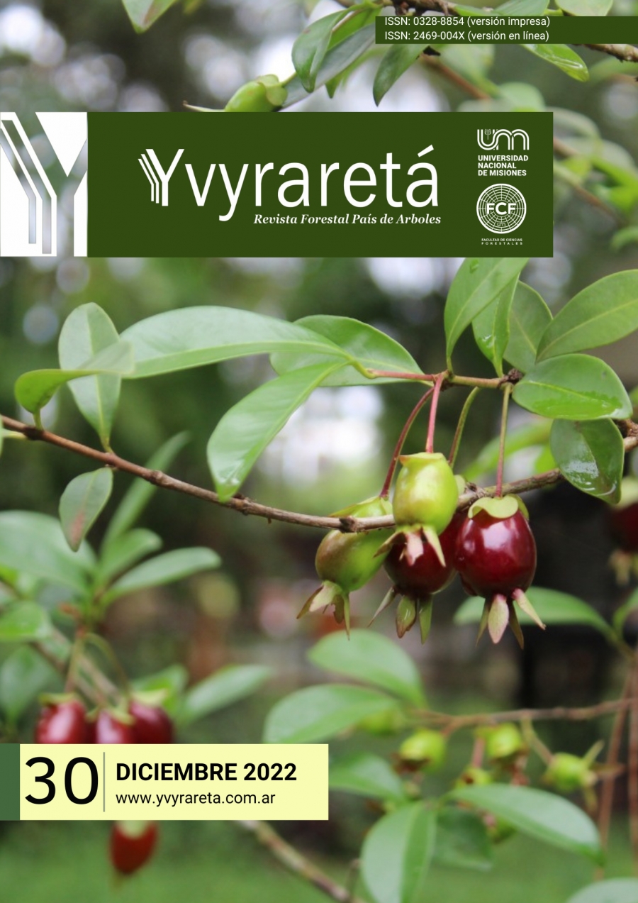 fotografía de Cerella o Cereza de monte (Eugenia involucrata DC), perteneciente a la familia de las Myrtaceae. El árbol está ubicado en el ingreso del estacionamiento sur este (por calle Lisandro de la Torre) de la Facultad de Ciencias Forestales.