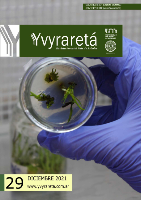 Cultivo in vitro de Cyrtopodium hatschbachii