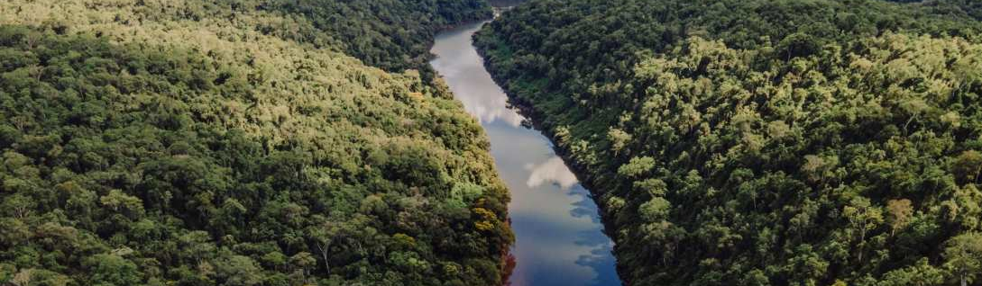 Imágen encabezado de la Revista YVYRARETA